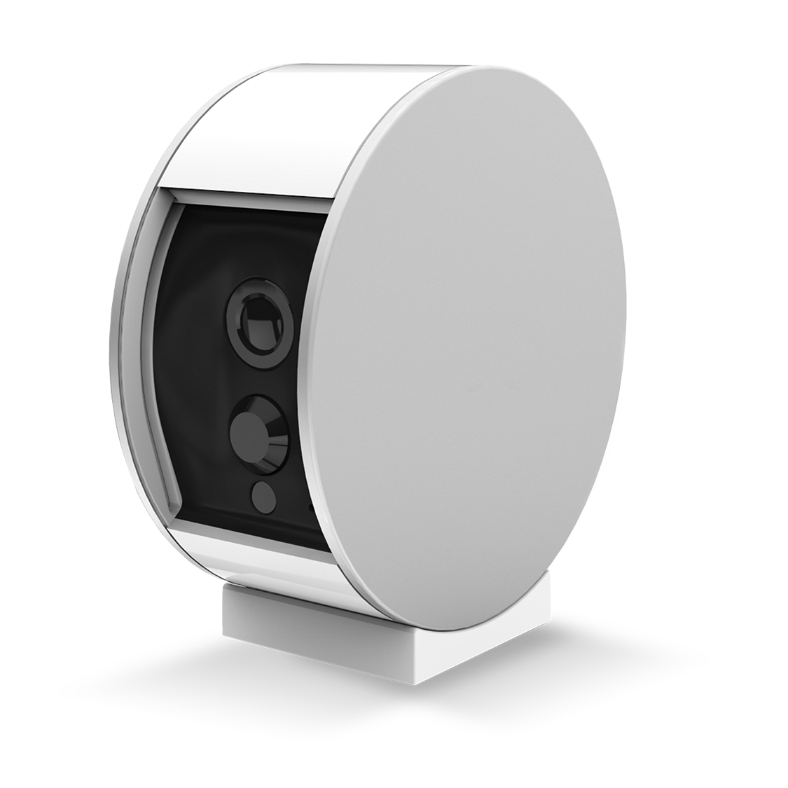 Somfy Indoor Camera et Somfy Security Camera