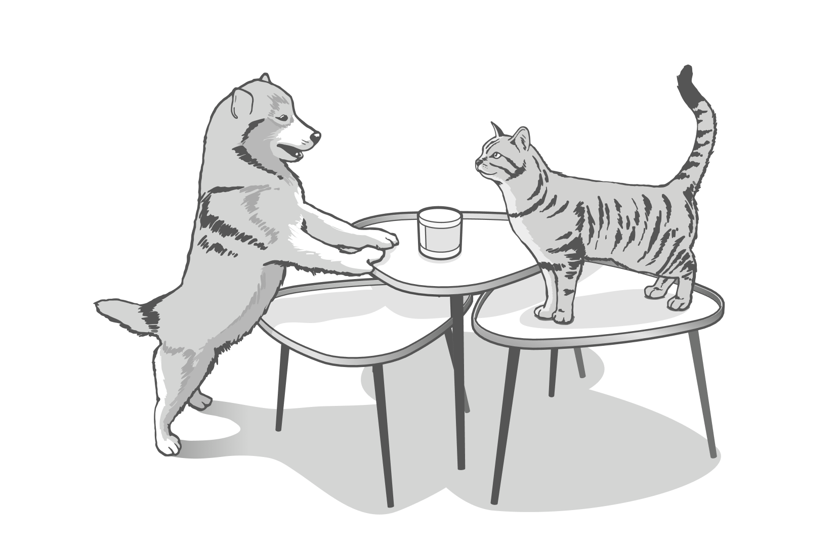 il_motion_detector_pet_advice_illustration.png