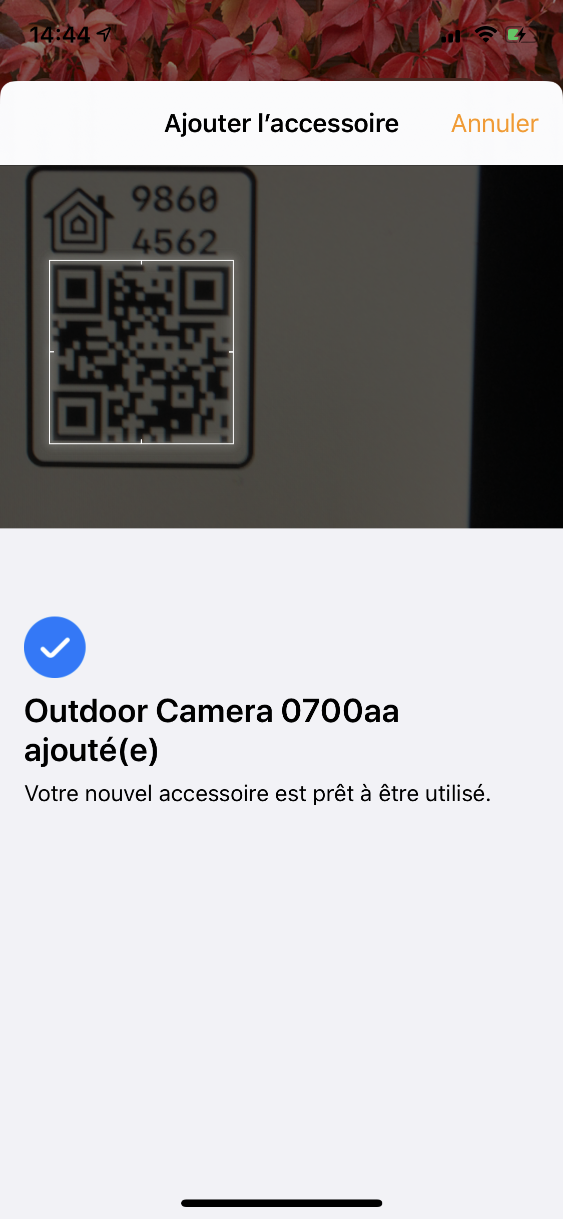 IMG_7512.PNG